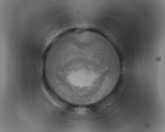 X0000114720448200911121736