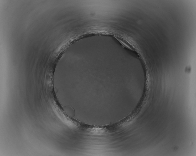 X0000114720449200911121736