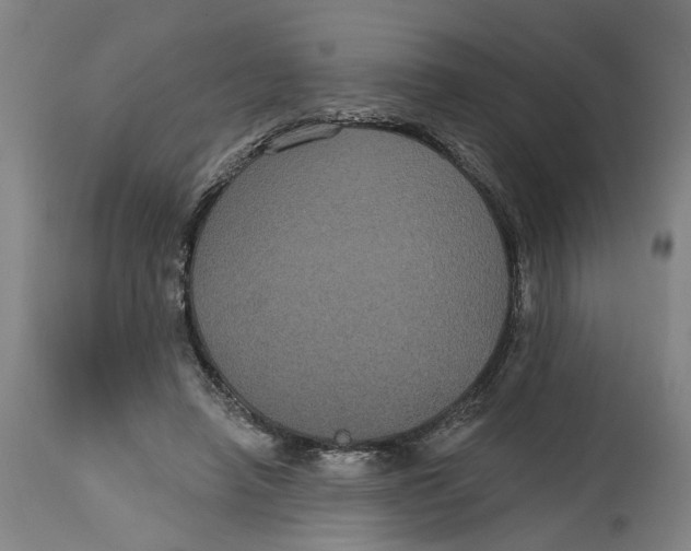 X0000114720450200911121736