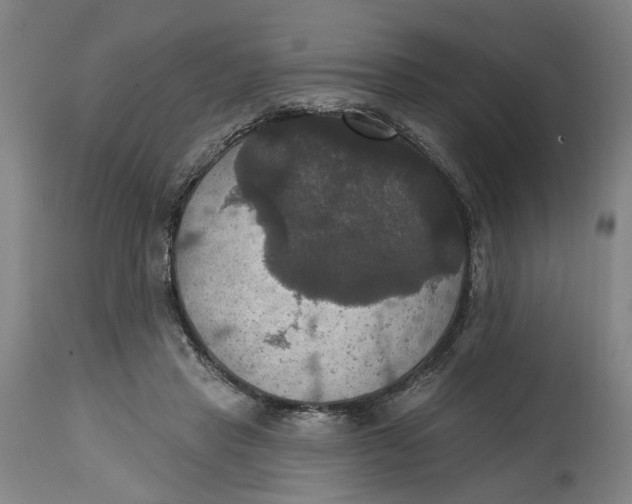 X0000114720453200911121736