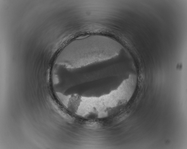 X0000114720454200911121736