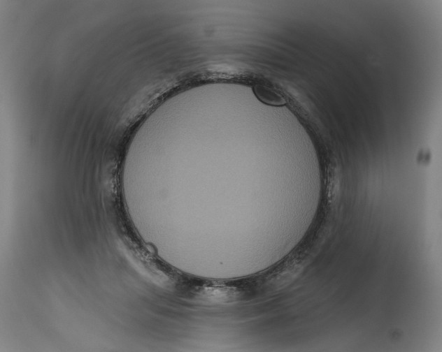 X0000114720455200911121736