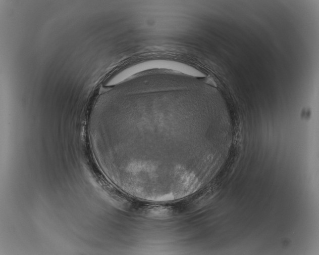 X0000114720456200911121736