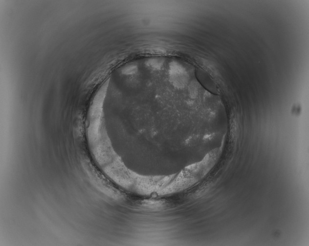 X0000114720457200911121736