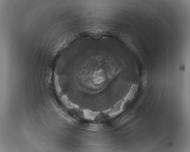 X0000114720458200911121736