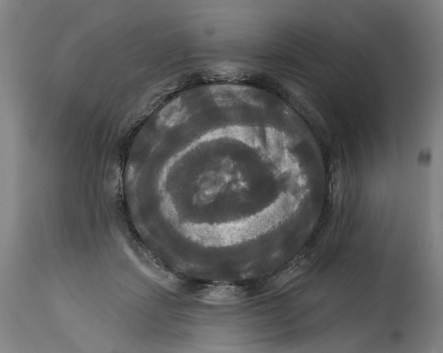 X0000114720459200911121736