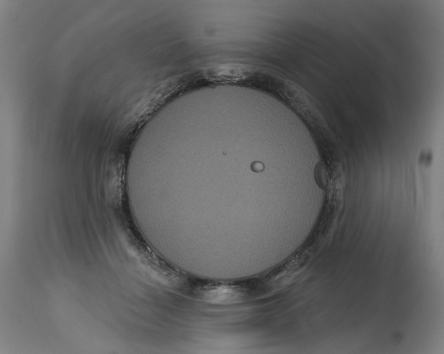 X0000114720460200911121736