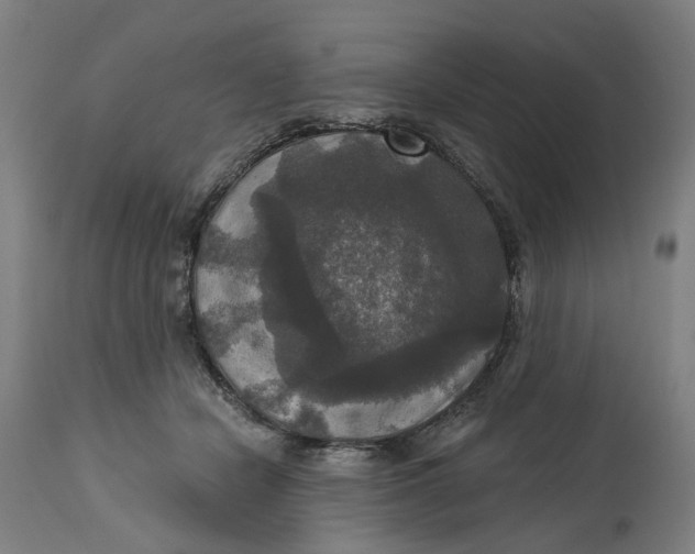 X0000114720462200911121736