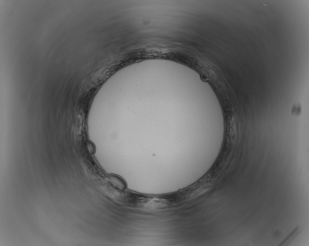 X0000114720463200911121736