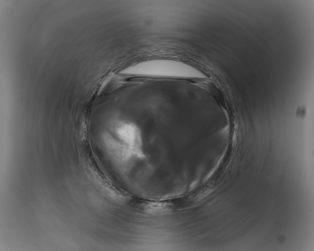 X0000114720465200911121736