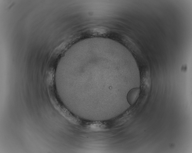 X0000114720468200911121736