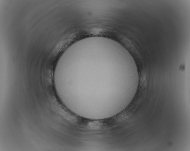 X0000114720470200911121736