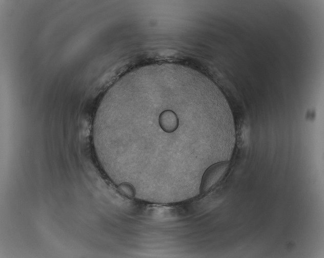 X0000114720472200911121736