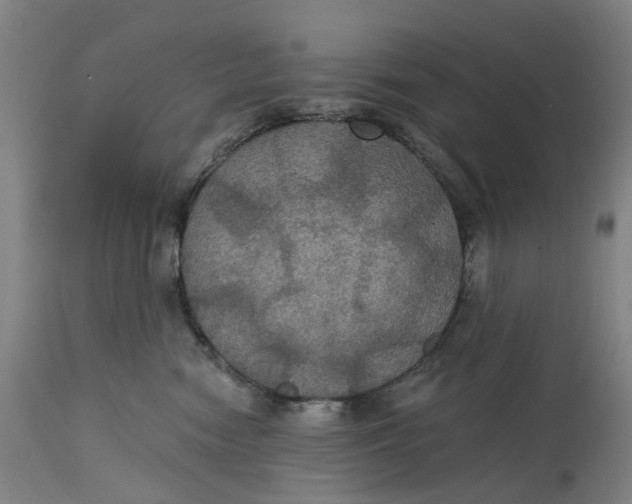 X0000114720474200911121736