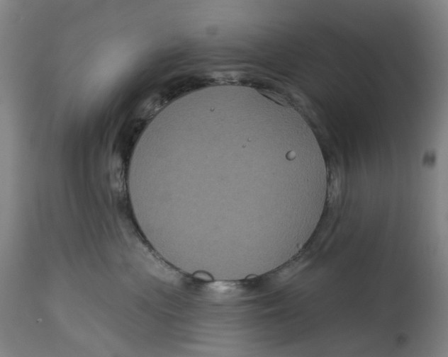 X0000114720477200911121736