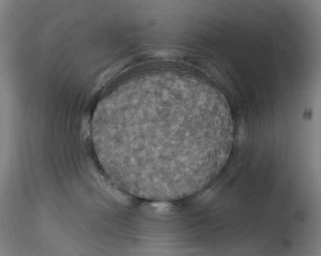 X0000114720478200911121736