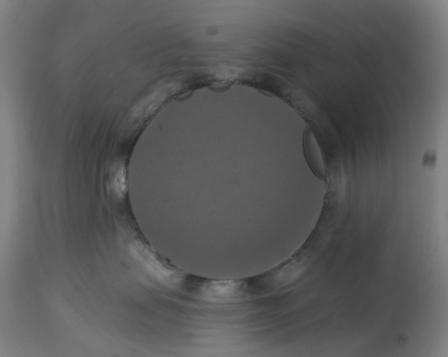 X0000114720479200911121736