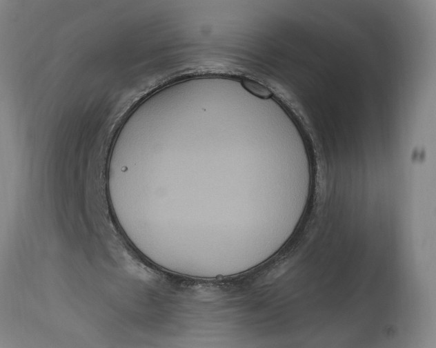 X0000114720481200911121736