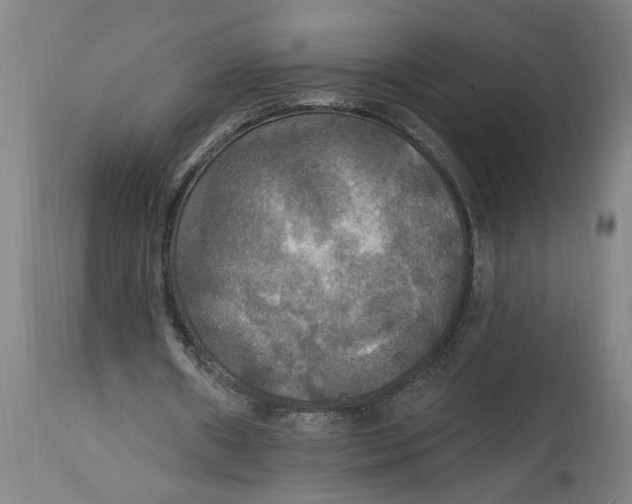 X0000114720482200911121736