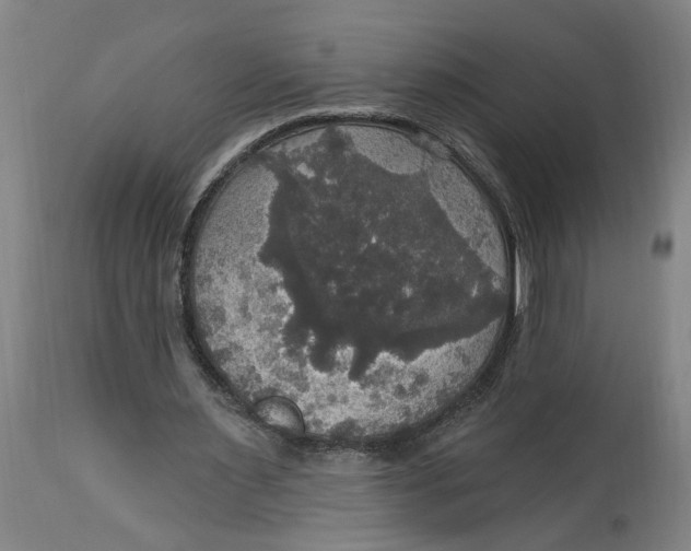 X0000114720483200911121736