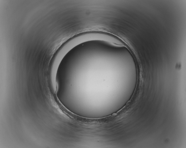 X0000114720485200911121736