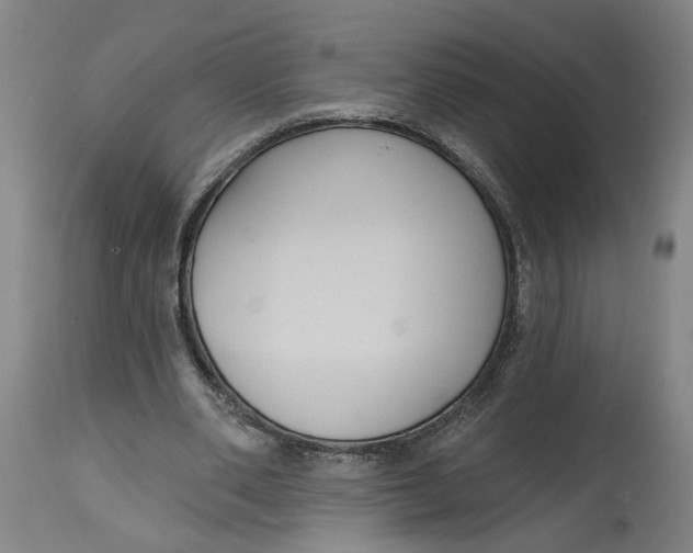 X0000114720486200911121736