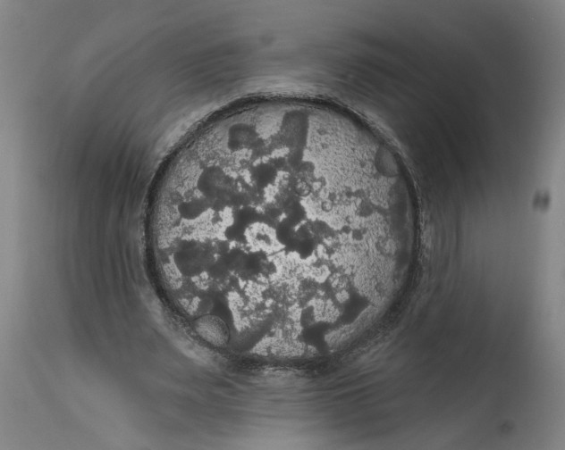 X0000114720487200911121736