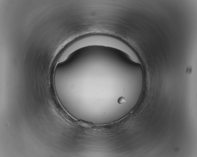 X0000114720488200911121736