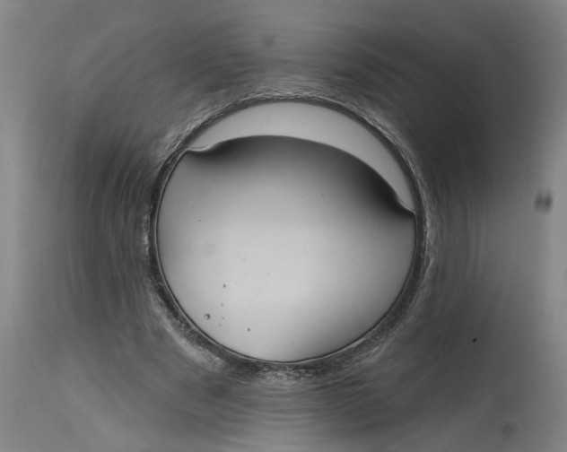 X0000114720489200911121736