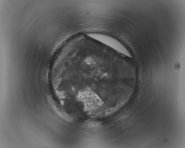 X0000114720491200911121736