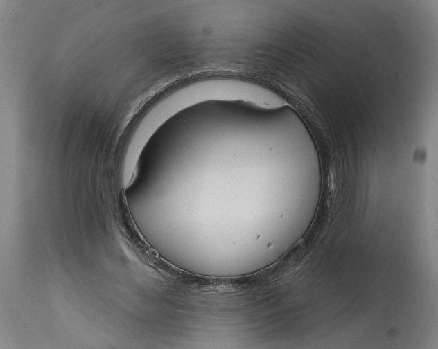 X0000114720492200911121736