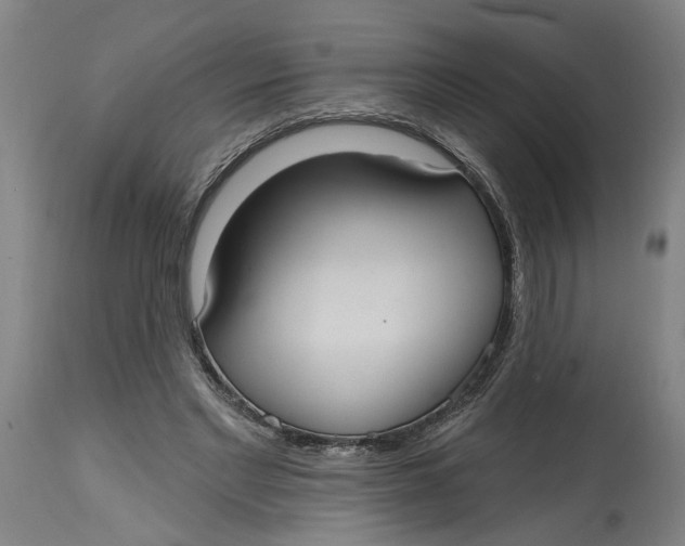 X0000114720493200911121736