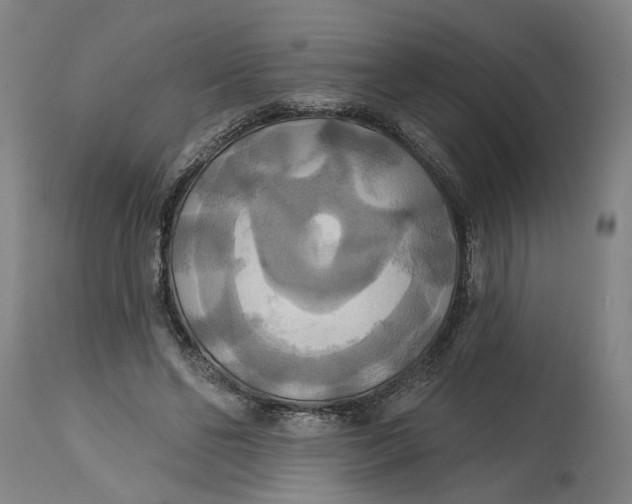 X0000114720494200911121736