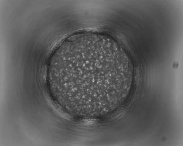 X0000114720495200911121736