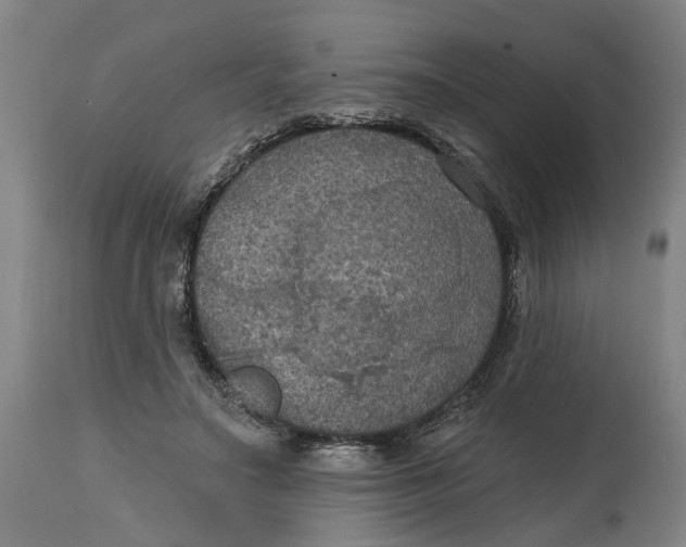 X0000114720499200911121735