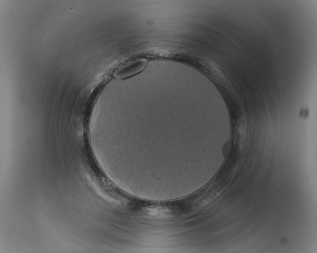 X0000114720500200911121735