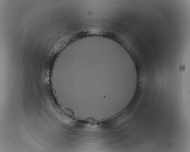 X0000114720502200911121735