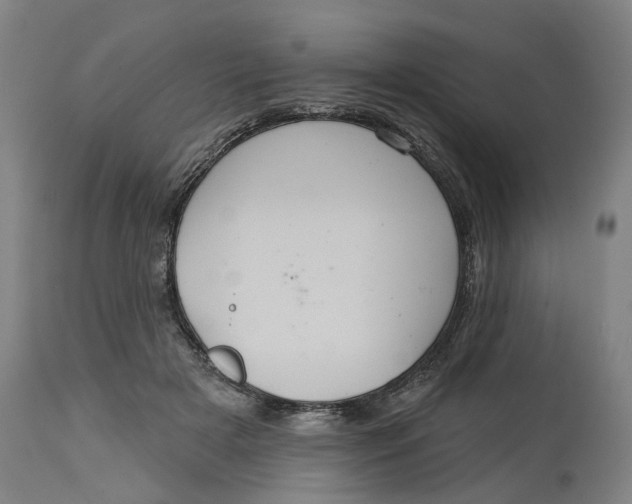 X0000114720505200911121735