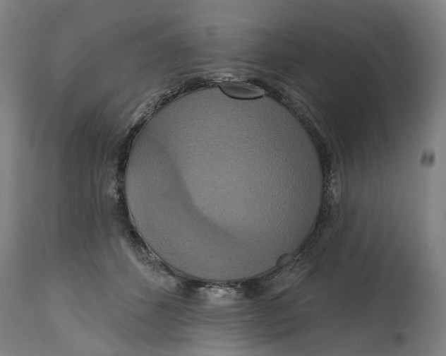 X0000114720512200911121735