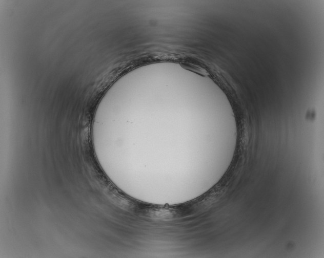 X0000114720513200911121735