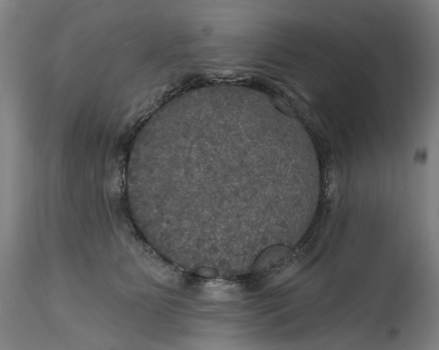 X0000114720515200911121735