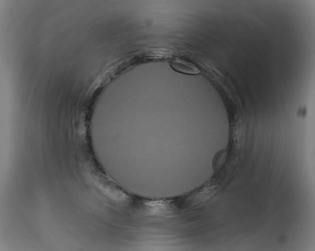 X0000114720516200911121735