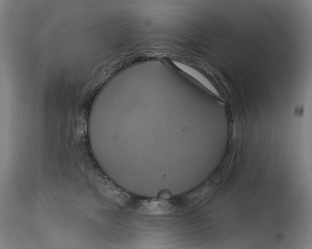 X0000114720517200911121735