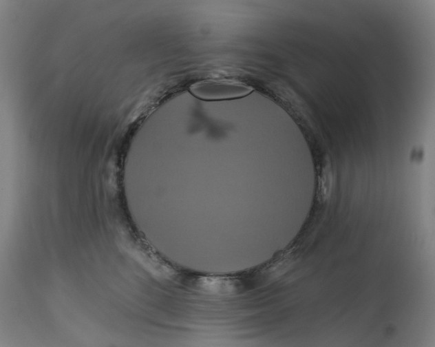 X0000114720520200911121735