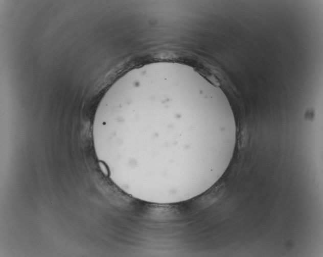 X0000114720521200911121735