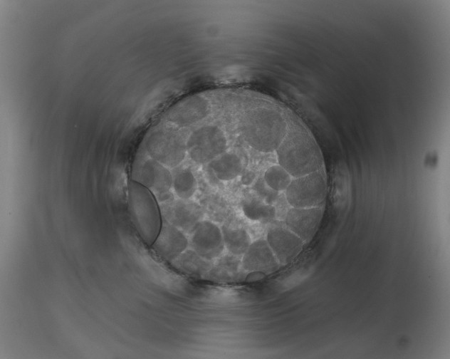 X0000114720523200911121735