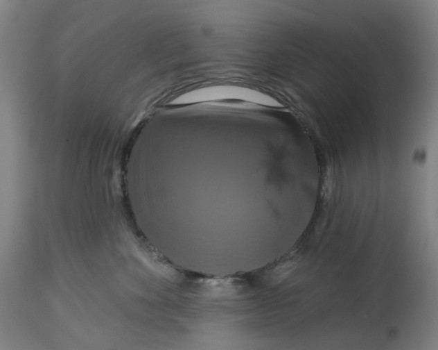 X0000114720524200911121735