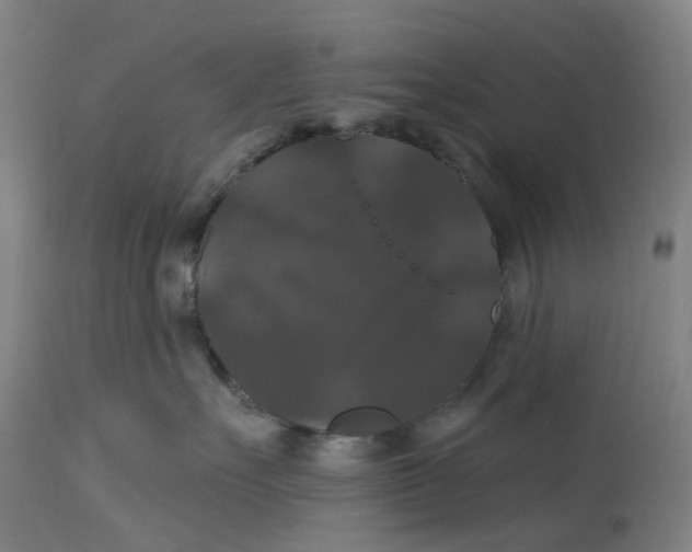 X0000114720527200911121735