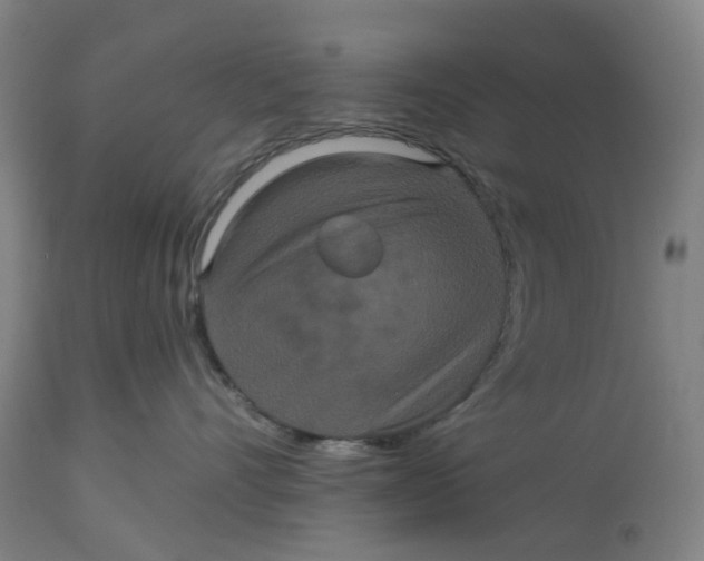 X0000114720528200911121735