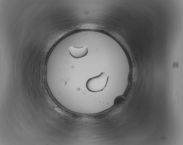 X0000114720529200911121734